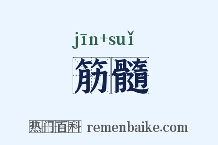筋髓是什么意思的图片